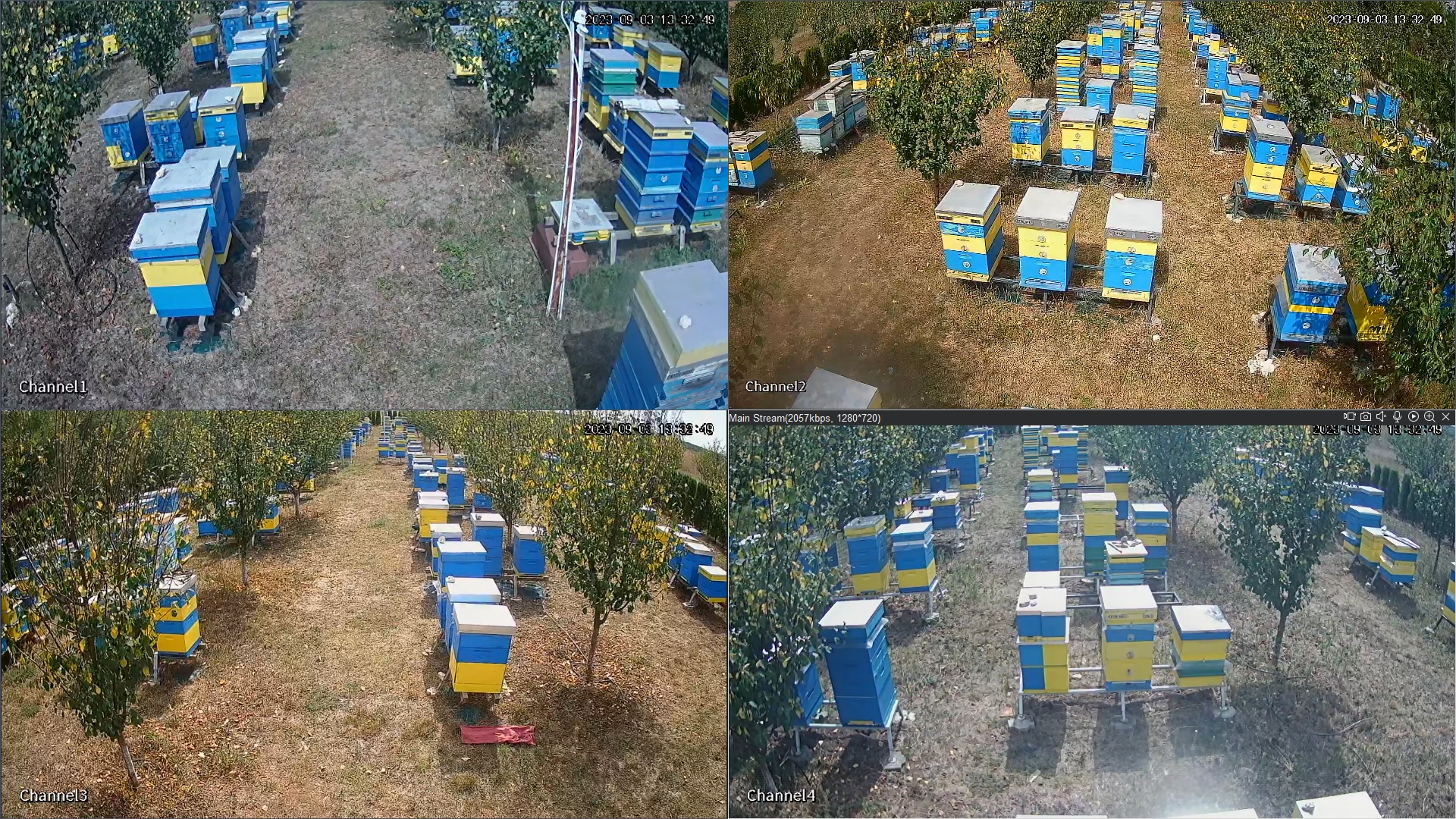 Видеонаблюдение на пчелин Флоримед, село Зорница